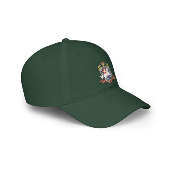 IS_1289 Low Profile Baseball Cap - Image 12