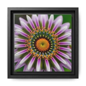 IS_4876 Framed Floral Kaleidoscope Matte Canvas — Vibrant Purple Daisy Wall Art