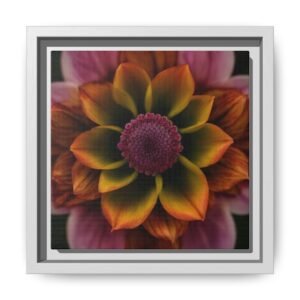 Framed Canvas Prints