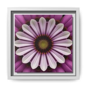 IS_4864 Framed Floral Canvas Wall Art — Pink Daisy Mandala