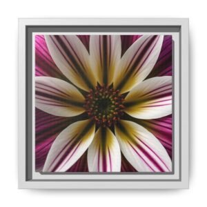 IS_4840 Framed Floral Canvas Art – Pink & Yellow Daisy Close-Up