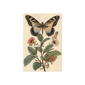 IS_6213 Vintage Butterfly Botanical Fine Art Print