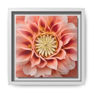 IS_4870 Framed Peach Dahlia Floral Wall Art — Matte Canvas Square