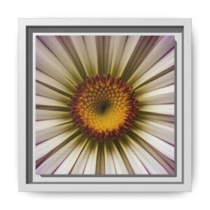 IS_4866 Framed Floral Canvas Print — Radiant Daisy Close-Up