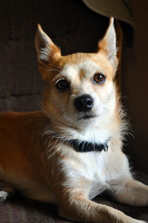 Beyond the Rainbow