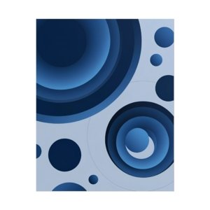 IS_5300 Modern Abstract Rolled Art Poster,
