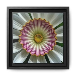 IS_4858 Framed Floral Mandala Canvas — Pink & White Daisy Wall Art