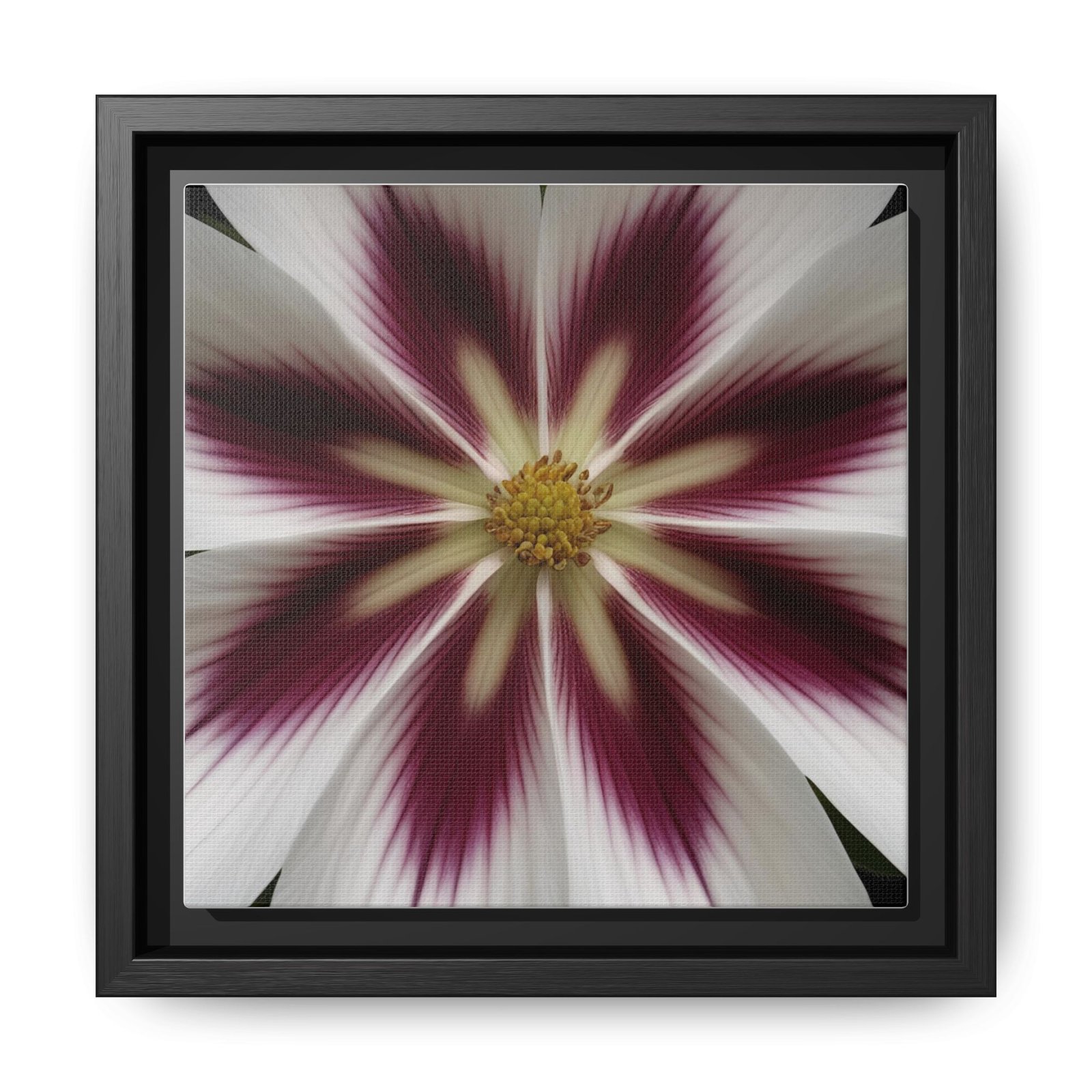 IS_4849 Framed Floral Burst Matte Canvas Wall Art — Burgundy & White Starflower - Image 4