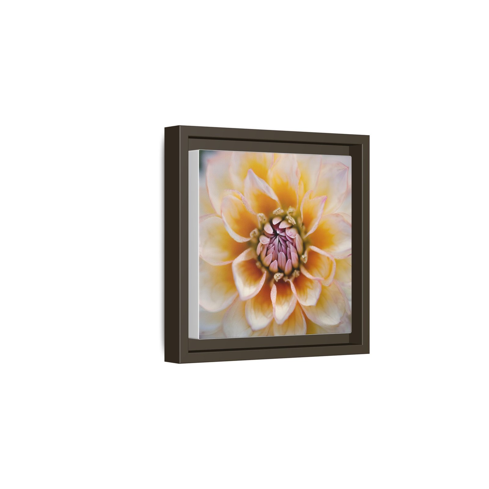 IS_4843 Framed Floral Canvas Art — Soft Yellow Dahlia Matte Print - Image 8
