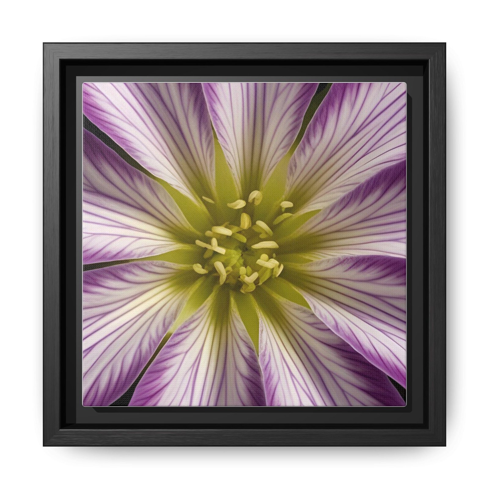 IS_4869 Framed Floral Canvas Art — Purple Radiant Bloom