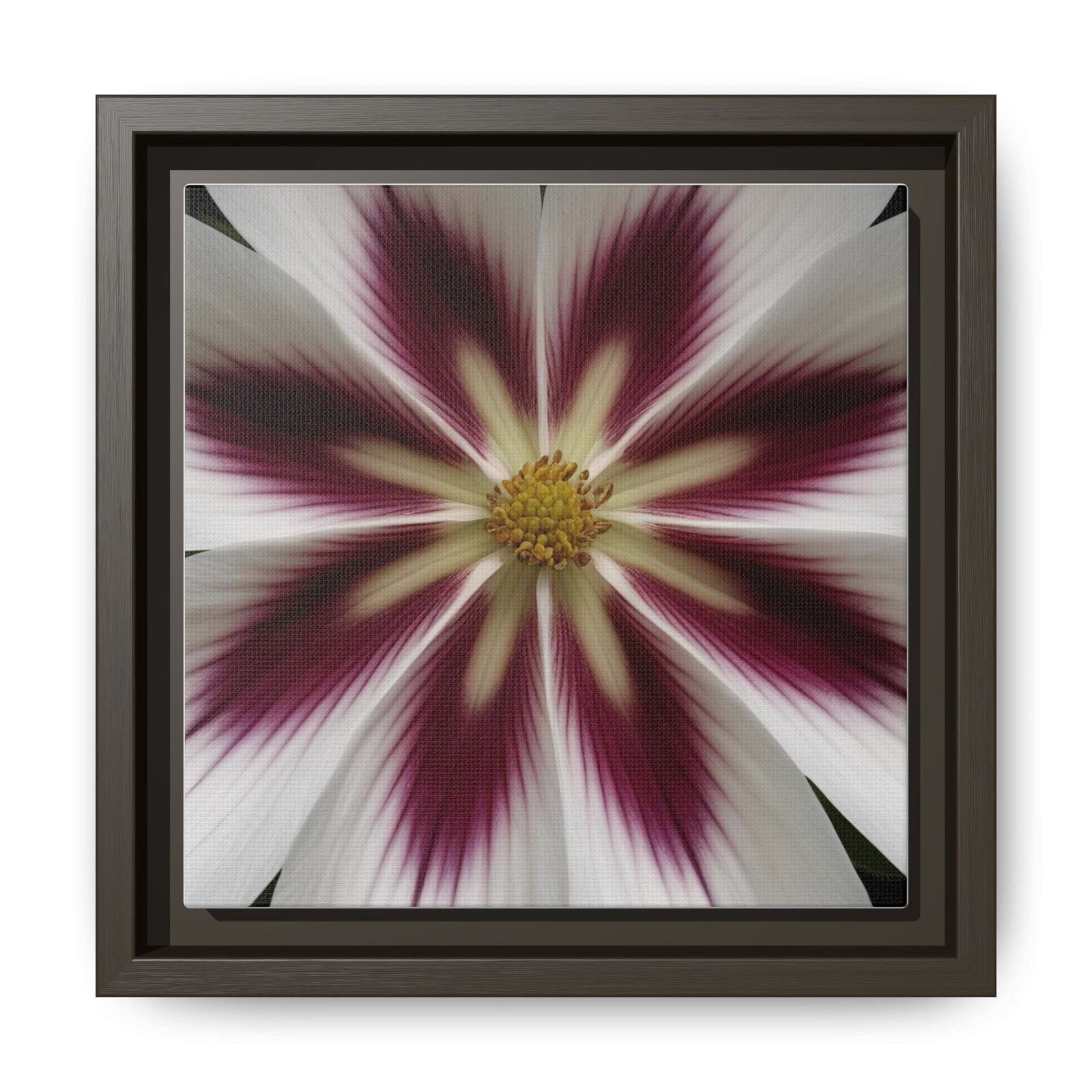 IS_4849 Framed Floral Burst Matte Canvas Wall Art — Burgundy & White Starflower - Image 7