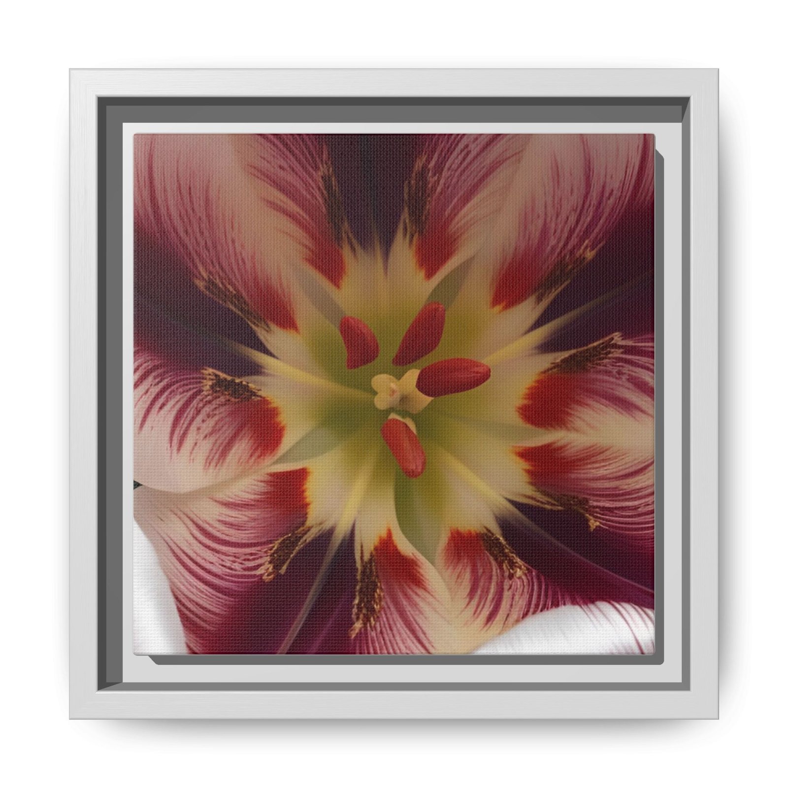 IS_4873 Framed Floral Close-Up Matte Canvas Wall Art — Multicolor Tulip Centerpiece - Image 7