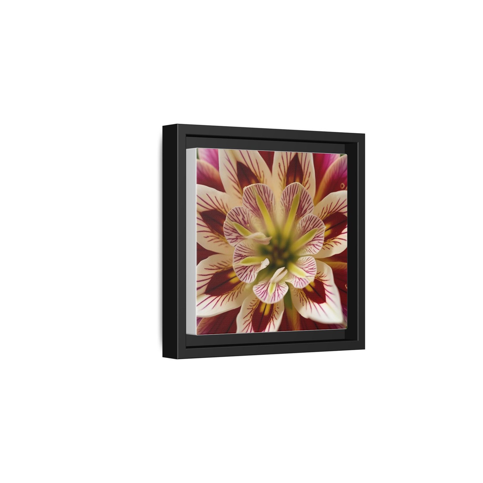 IS_4848 Framed Floral Canvas Wall Art — Multicolor Dahlia Close-Up - Image 2