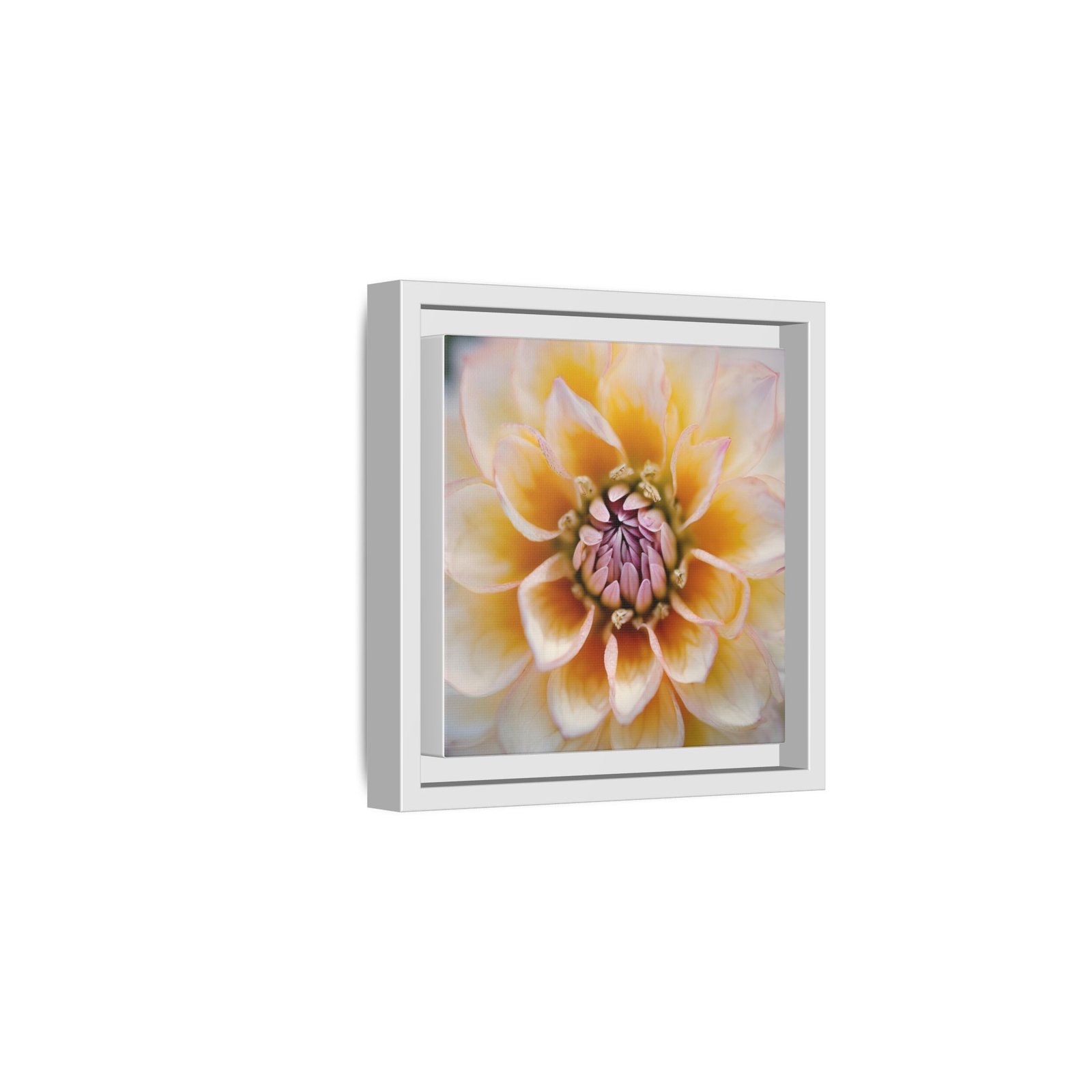 IS_4843 Framed Floral Canvas Art — Soft Yellow Dahlia Matte Print - Image 2