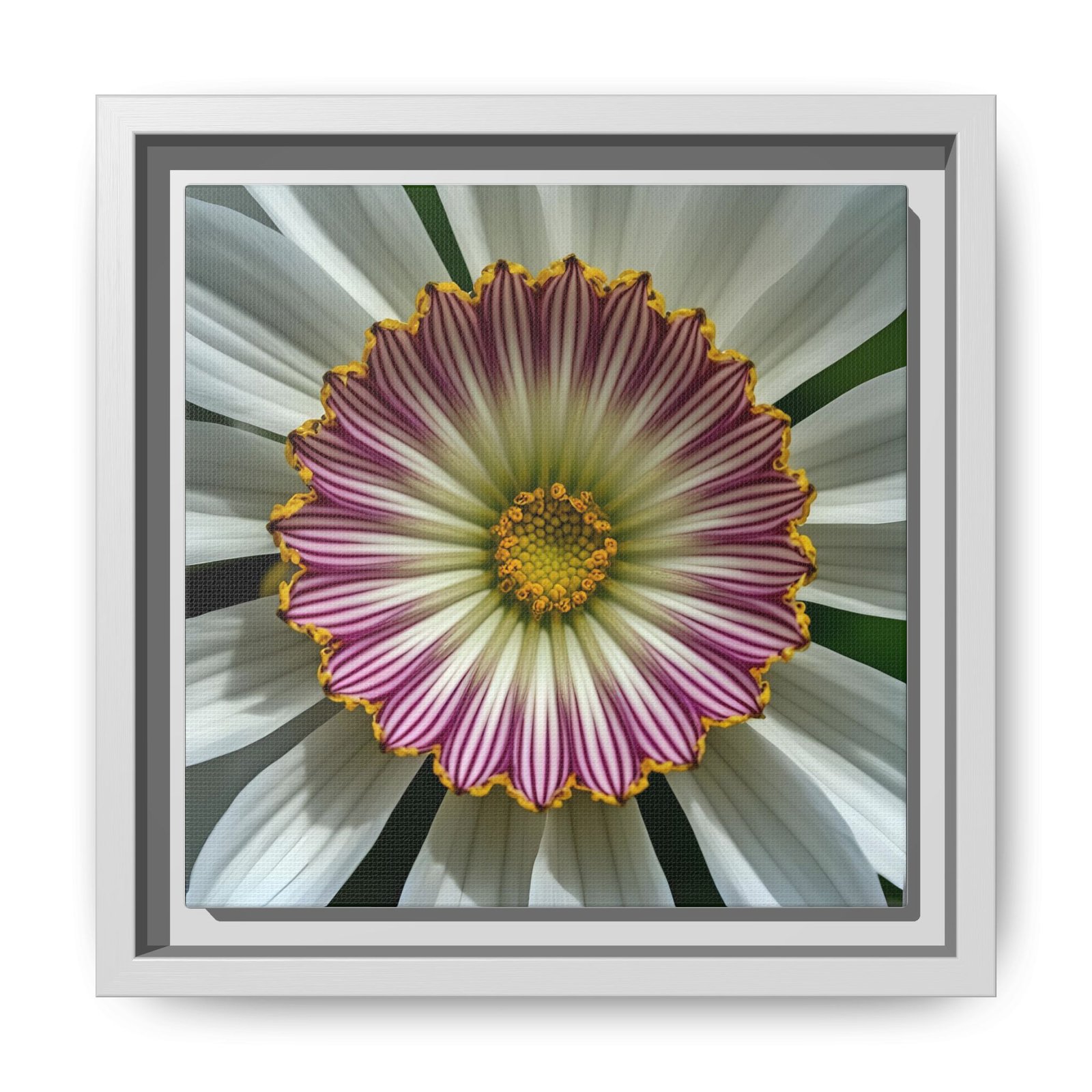 IS_4858 Framed Floral Mandala Canvas — Pink & White Daisy Wall Art - Image 7