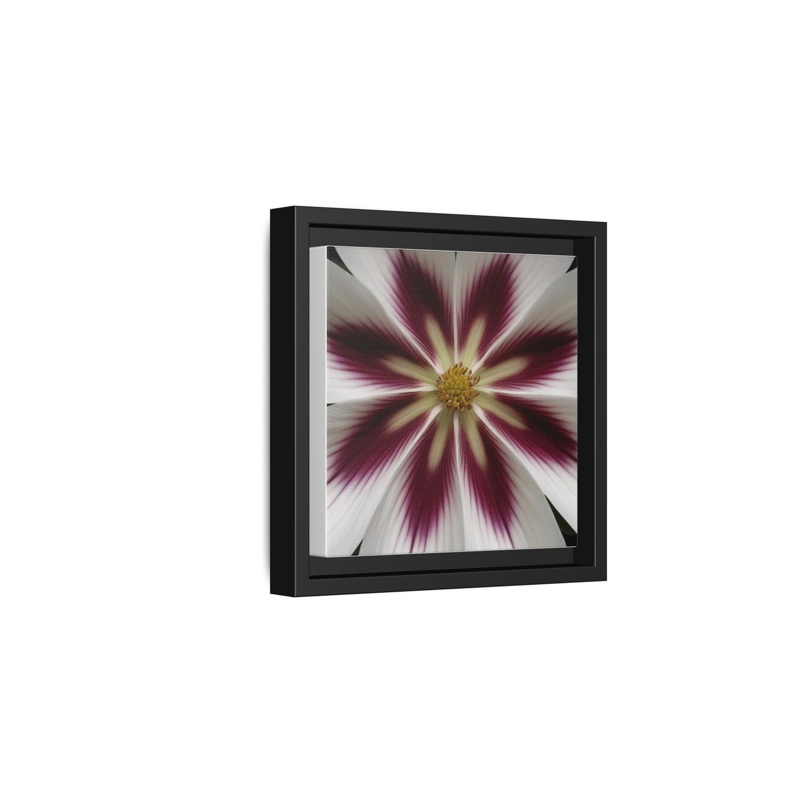 IS_4849 Framed Floral Burst Matte Canvas Wall Art — Burgundy & White Starflower - Image 5