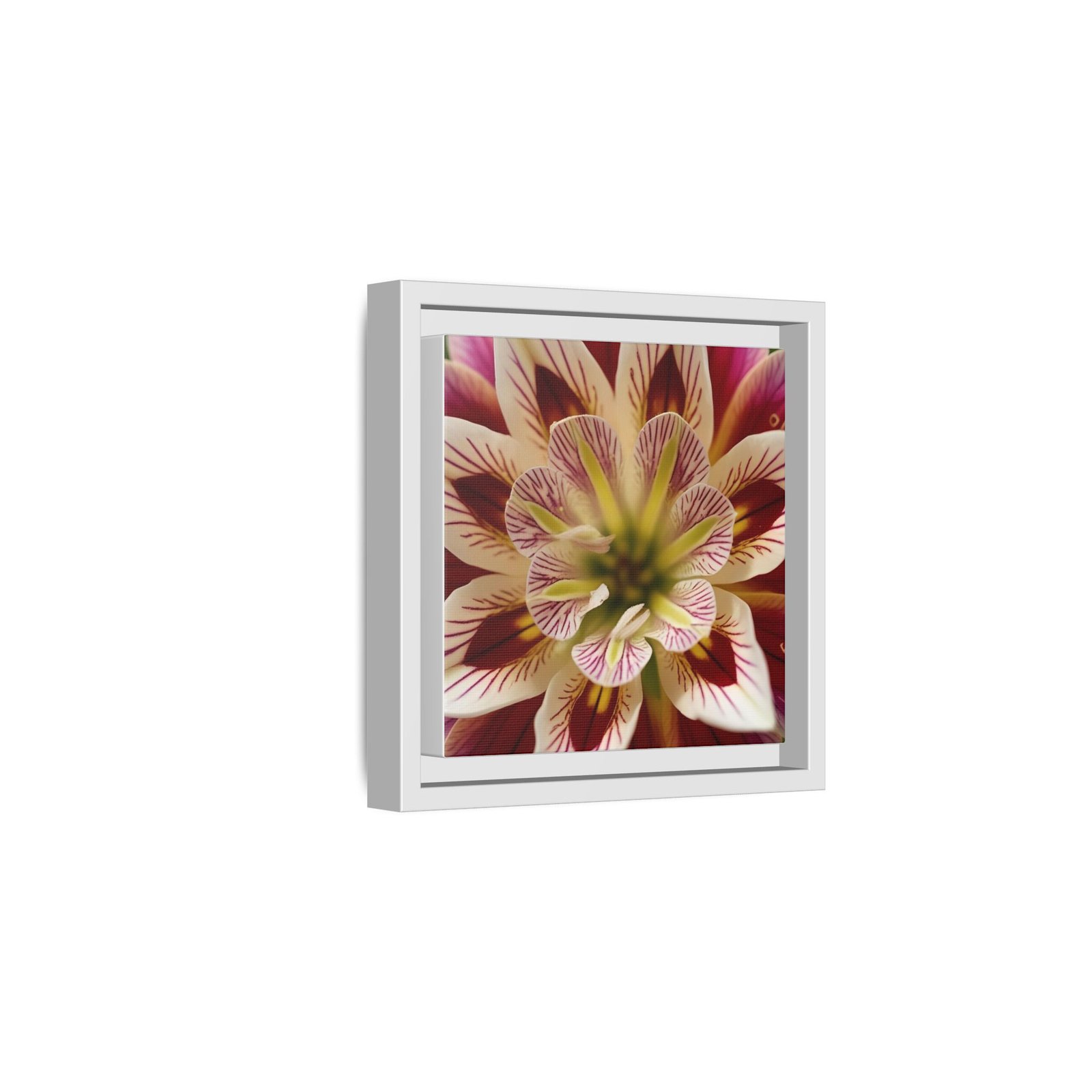 IS_4848 Framed Floral Canvas Wall Art — Multicolor Dahlia Close-Up - Image 8