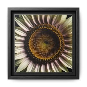 IS_4862 Framed Sunflower Macro Matte Canvas — Botanical Wall Art
