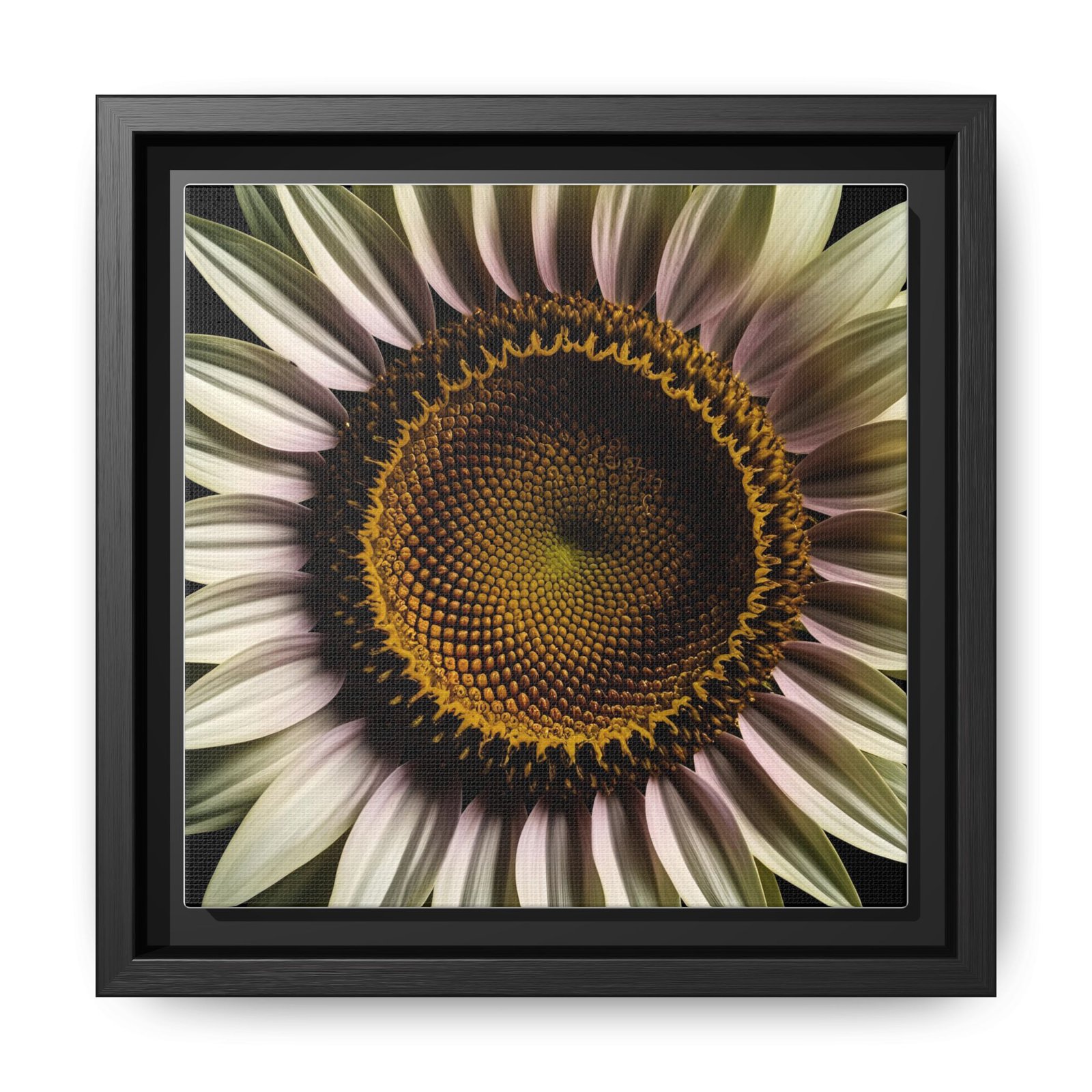 IS_4862 Framed Sunflower Macro Matte Canvas — Botanical Wall Art