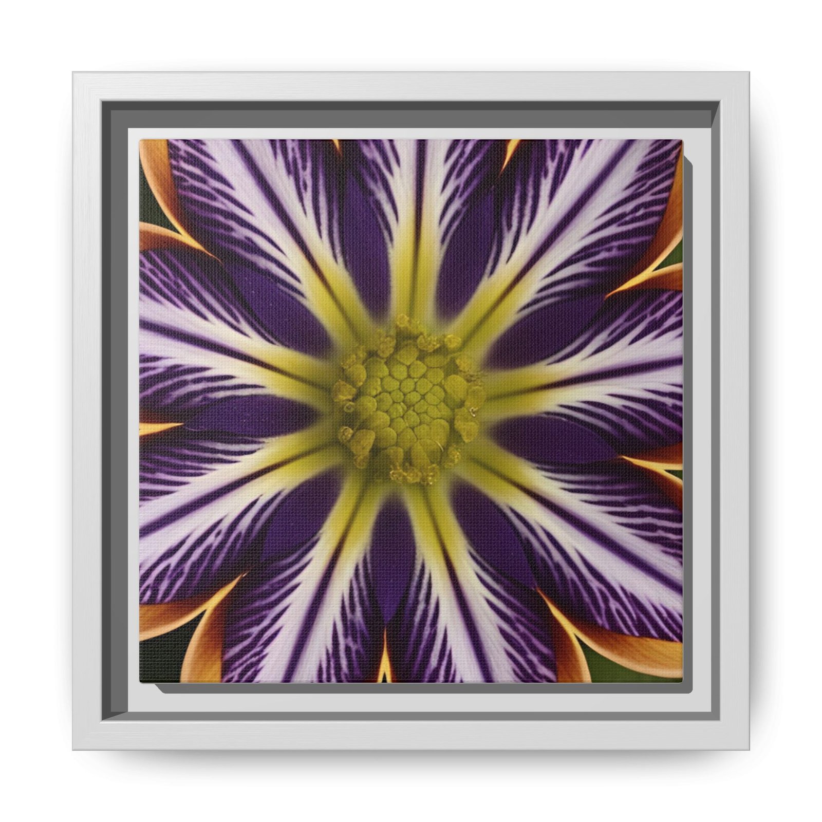 IS_4855 Framed Floral Burst Matte Canvas Print — Purple & Yellow Starburst Wall Art