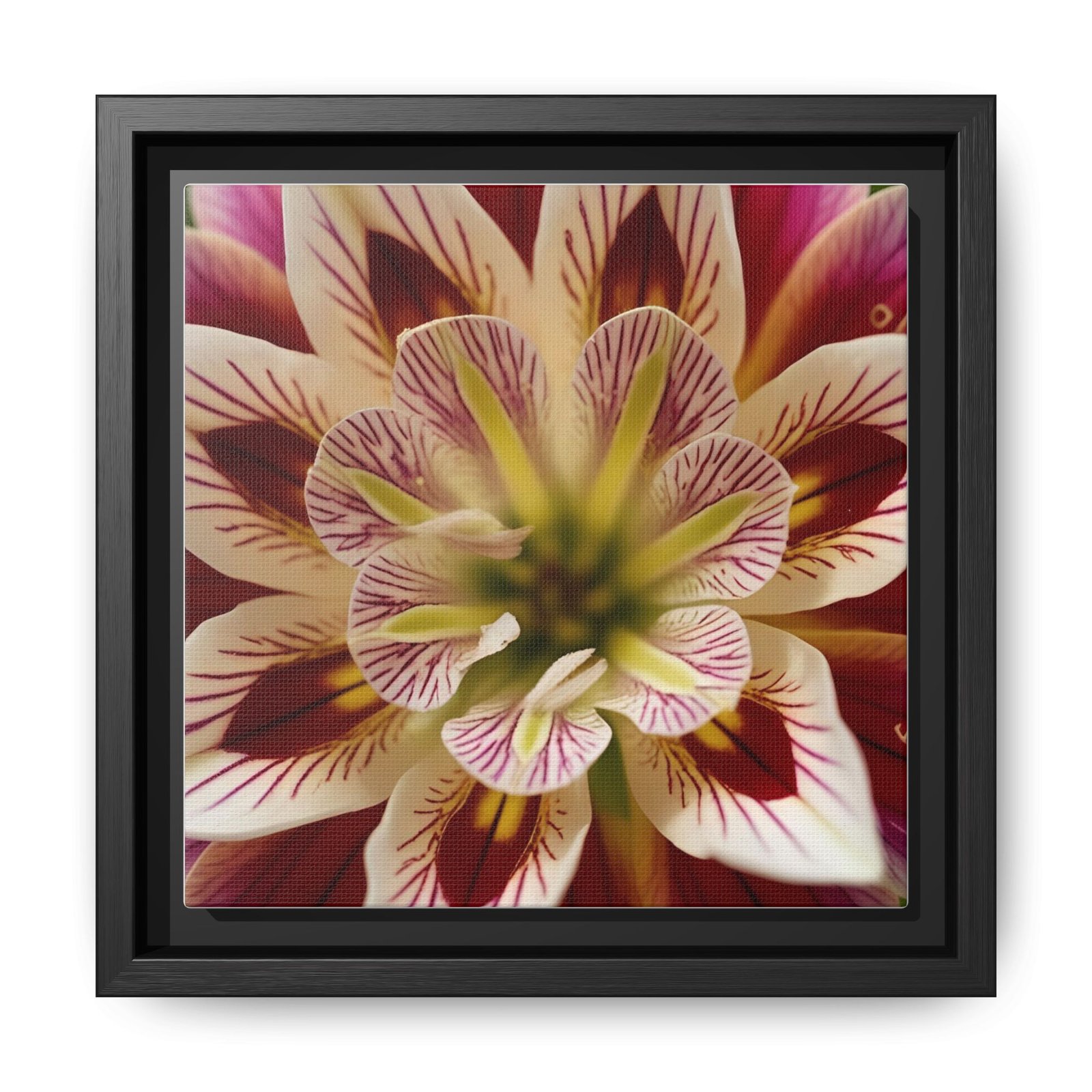 IS_4848 Framed Floral Canvas Wall Art — Multicolor Dahlia Close-Up