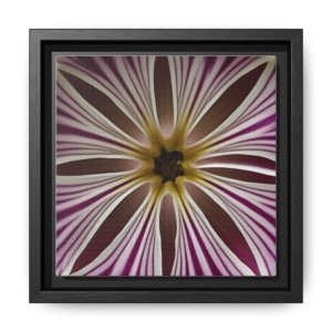 IS_4854 Framed Floral Burst Matte Canvas — Pink & White Striped Flower Wall Art
