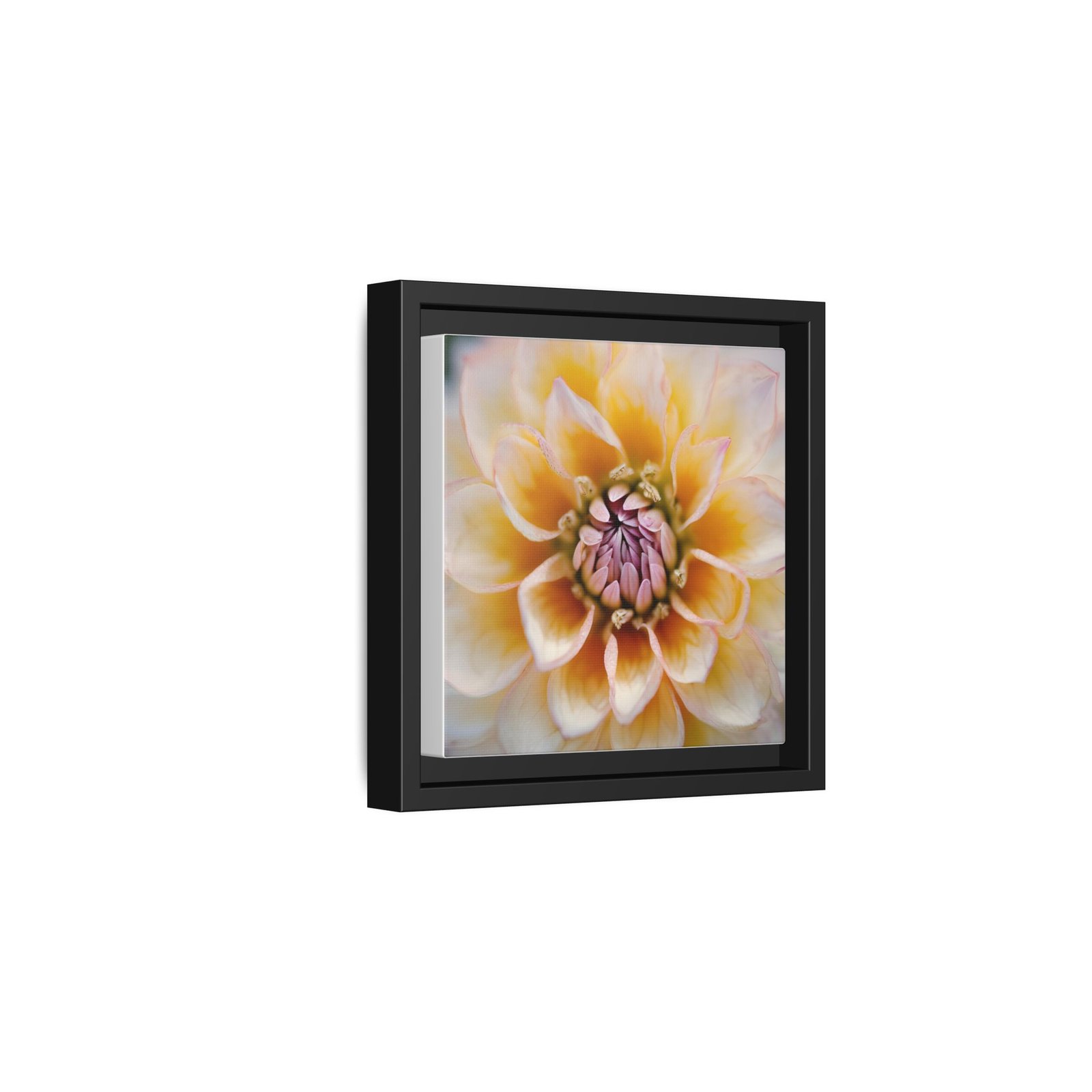 IS_4843 Framed Floral Canvas Art — Soft Yellow Dahlia Matte Print - Image 5