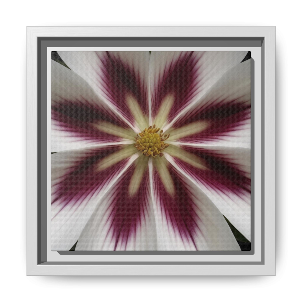 Floral Burst