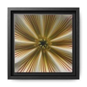 IS_4878 Framed Abstract Flower Canvas Art — Golden Radiance Wall Decor