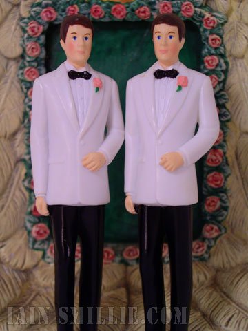 My Gay Wedding 