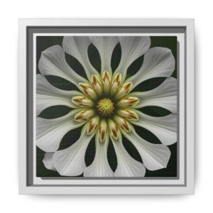 IS_4877 Framed Floral Mandala Canvas Art — White Dahlia Decorative Wall Print