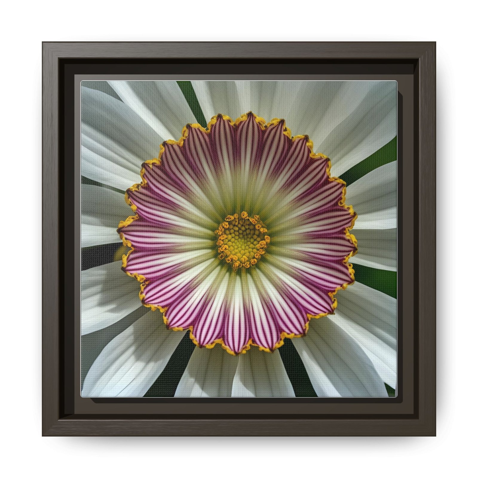 IS_4858 Framed Floral Mandala Canvas — Pink & White Daisy Wall Art - Image 4