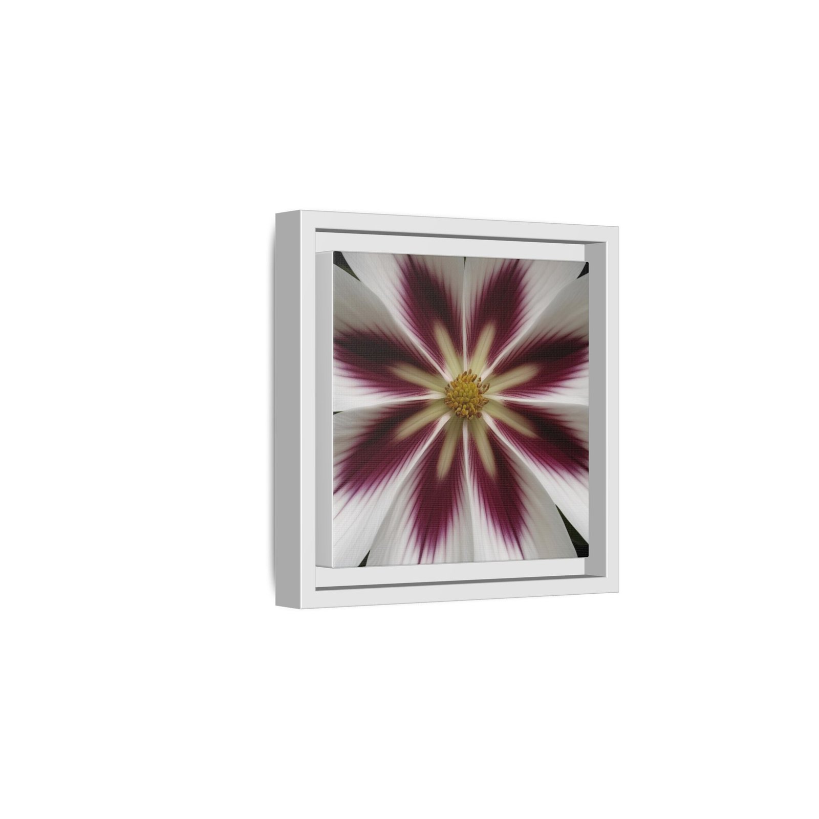 IS_4849 Framed Floral Burst Matte Canvas Wall Art — Burgundy & White Starflower - Image 2