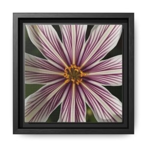 IS_4850 Framed Matte Canvas Wall Art — Striped Pink Daisy Floral Print