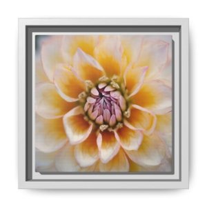 IS_4843 Framed Floral Canvas Art — Soft Yellow Dahlia Matte Print