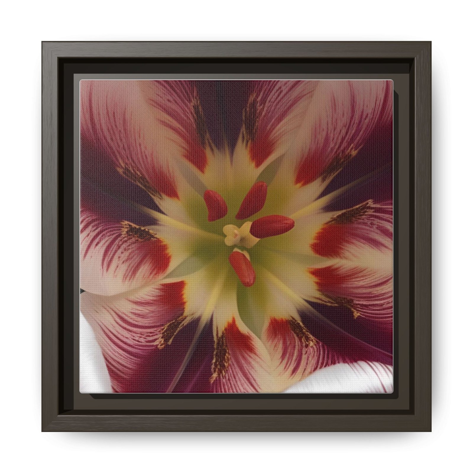 IS_4873 Framed Floral Close-Up Matte Canvas Wall Art — Multicolor Tulip Centerpiece - Image 4
