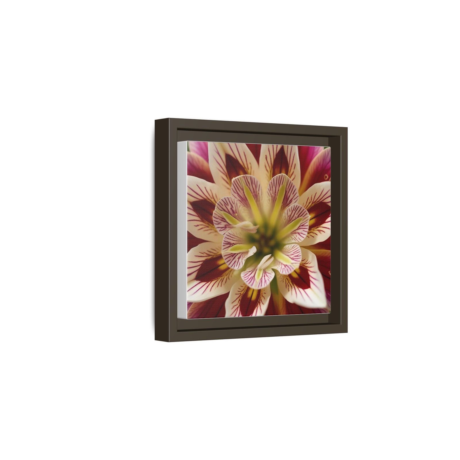 IS_4848 Framed Floral Canvas Wall Art — Multicolor Dahlia Close-Up - Image 5