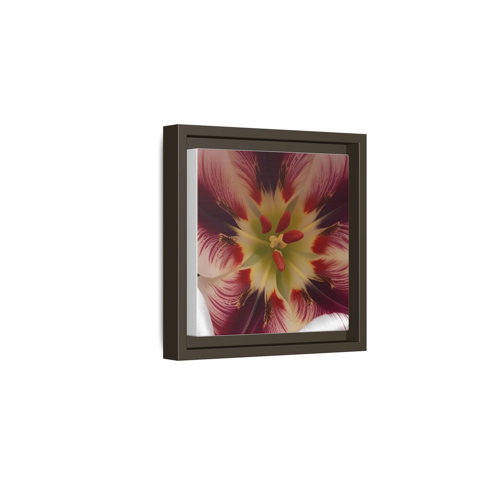 IS_4873 Framed Floral Close-Up Matte Canvas Wall Art — Multicolor Tulip Centerpiece - Image 5