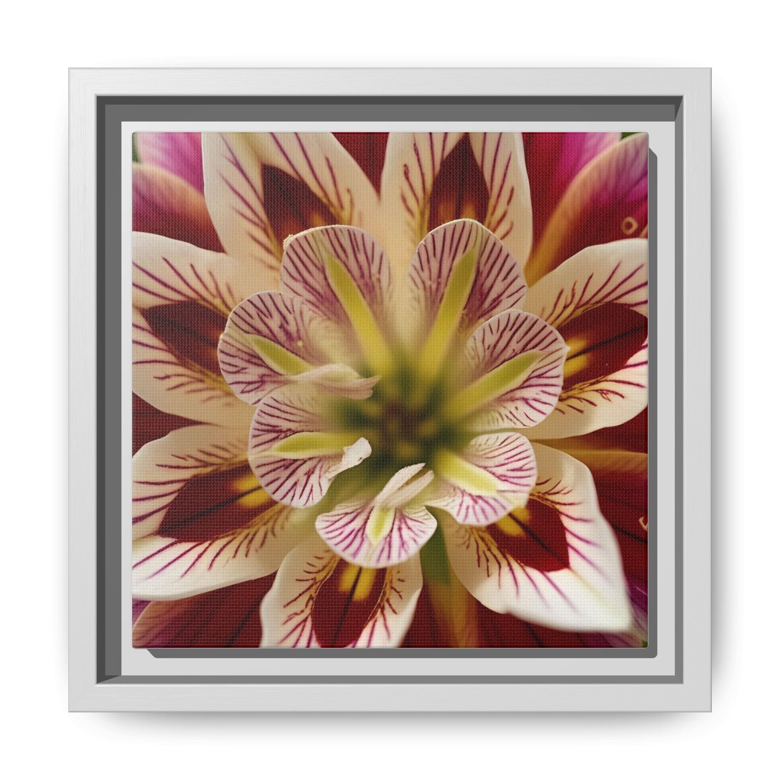 IS_4848 Framed Floral Canvas Wall Art — Multicolor Dahlia Close-Up - Image 7