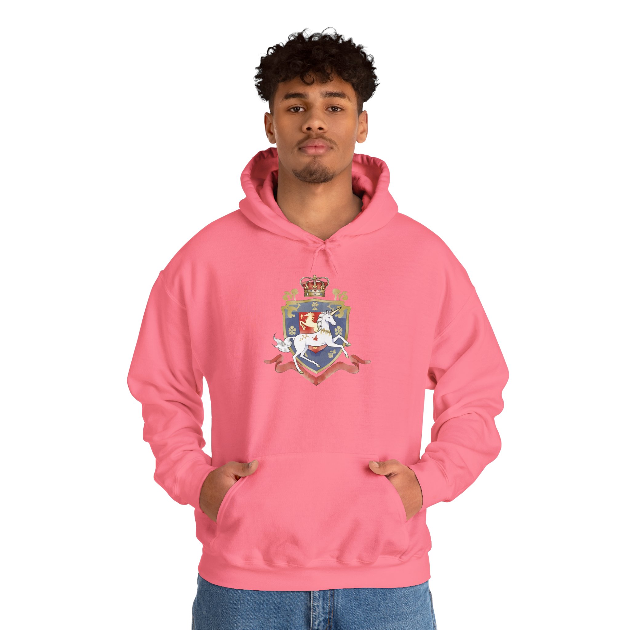 Haus Of Legends Unicorn Crest Hoodie - Image 19